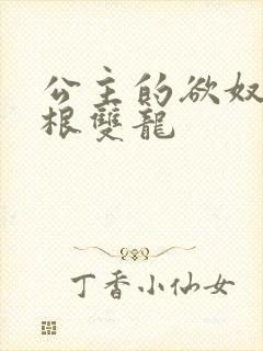 公主的欲奴h四根双龙