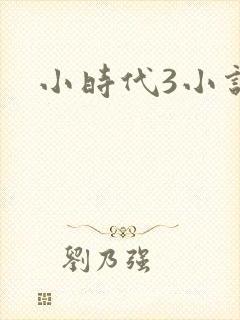 小时代3小说