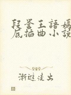 段誉王语嫣在井底插曲小说