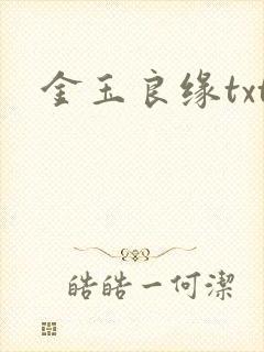 金玉良缘txt