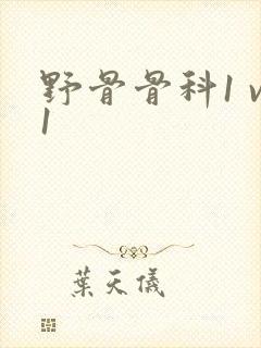 野骨骨科1 v1