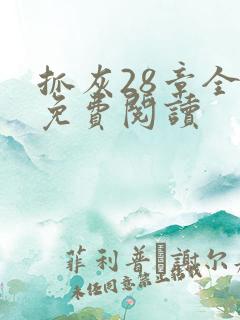 抓灰28章全部免费阅读