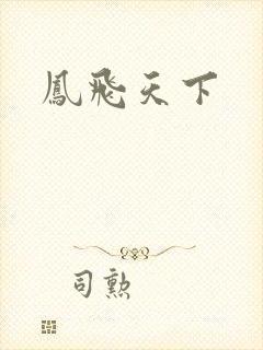 凤飞天下