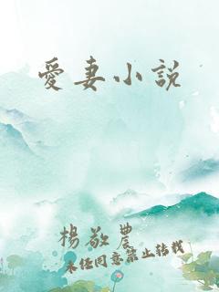 爱妻小说