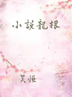 小说龙根
