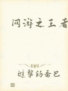 网游之王者天下