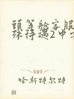 头等舱客服的特殊待遇2中字