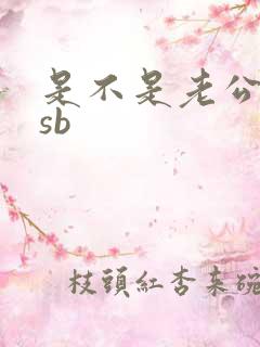 是不是老公的小sb