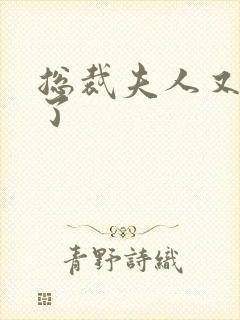 总裁夫人又征婚了