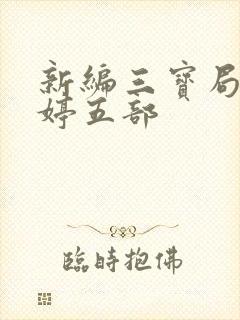 新编三宝局长许婷五部