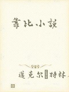 靠比小说