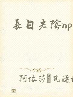 长日光阴np
