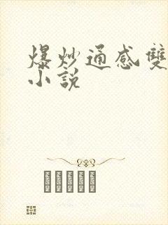 爆炒通感双胞胎小说