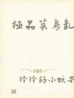 极品菜鸟乱江湖