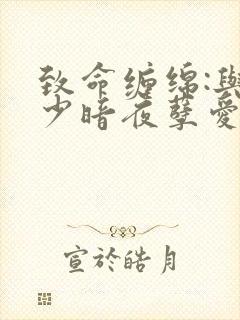 致命缠绵:与冷少暗夜孽爱