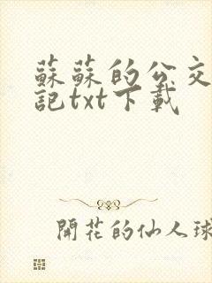 苏苏的公交车日记txt下载