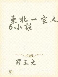 东北一家人1一6小说
