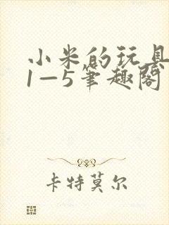 小米的玩具日记1—5笔趣阁