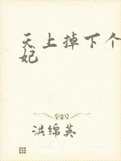 天上掉下个奇王妃