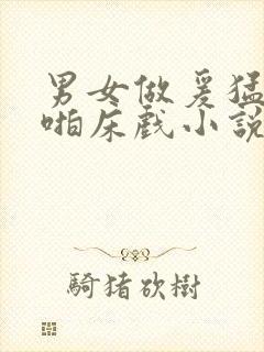 男女做爰猛烈啪啪床戏小说