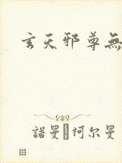 玄天邪尊无弹窗