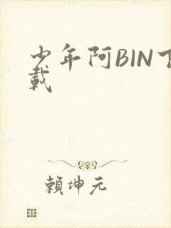 少年阿BIN下载