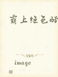 霸上绝色酷王爷