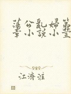 荡公乱妇第51章小说小莹