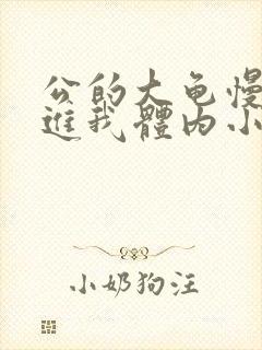 公的大龟慢慢挺进我体内小说