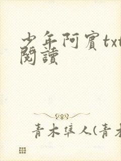 少年阿宾txt阅读