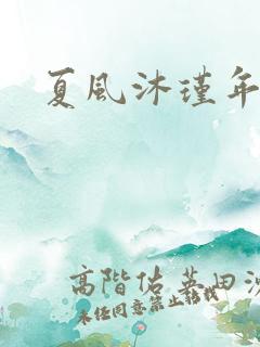 夏风沐瑾年