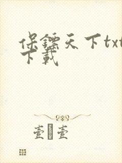 保镖天下txt下载