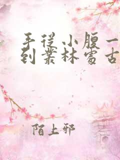 手从小腹一路开到丛林处古代