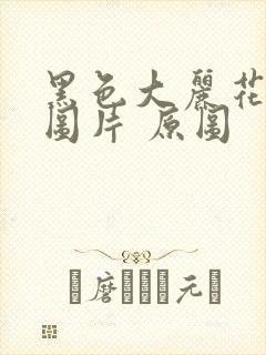 黑色大丽花真实图片 原图