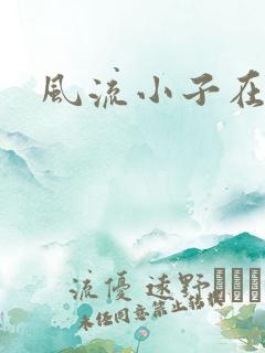 风流小子在异世