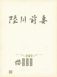 陆川前妻
