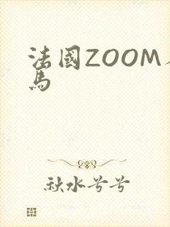 法国ZOOM人马