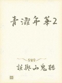 青涩年华2