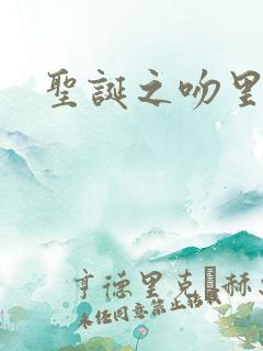 圣诞之吻里沙篇