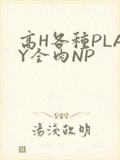 高H各种PLAY全肉NP