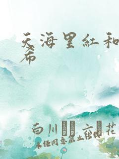 天海里红和橘和希