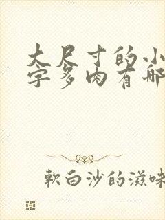 大尺寸的小黄说字多肉有哪些