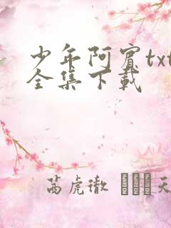 少年阿宾txt全集下载