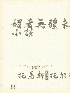 媚者无疆未删减小说