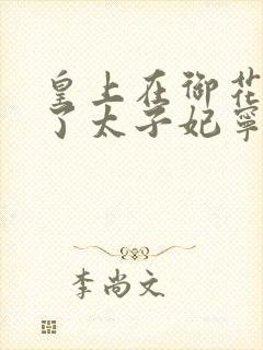 皇上在御花园C了太子妃宁儿