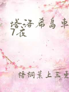 塔洛希岛车7天7夜