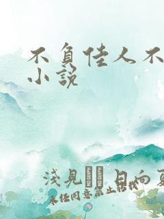 不负佳人不负卿小说