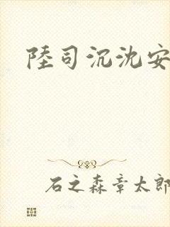 陆司沉沈安