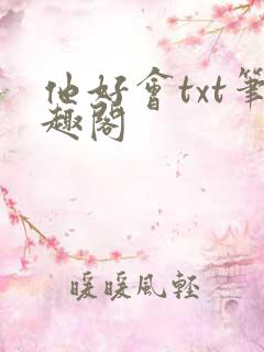 他好会txt笔趣阁