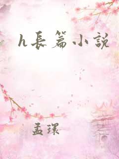 h长篇小说